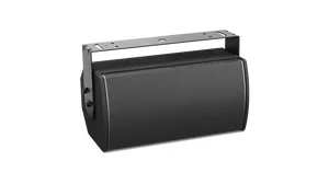 BOSE ArenaMatch Utility AMU108