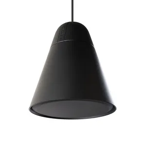 Biamp Desono P60DT-BL dwudrożny głośnik wiszący  z wooferem 6.5"  i 1" jedwabna kopułką wysokotonową , CZARNY