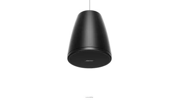 Bose DesignMax DM6PE  Loudspeaker ( para ) - 3