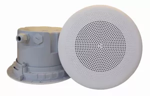 DNH BPF-660IP(T) – profesjonalny głośnik sufitowy IP55