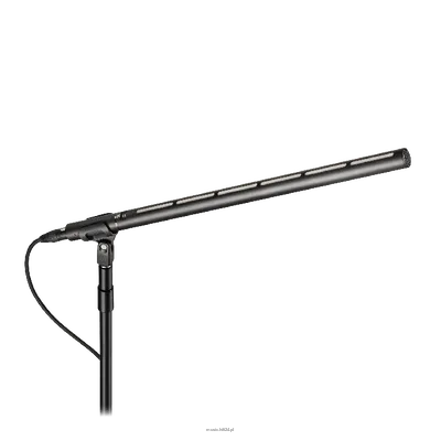 Audio-technica BP28L - Mikrofon liniowo-grandientowy, 567.9 mm