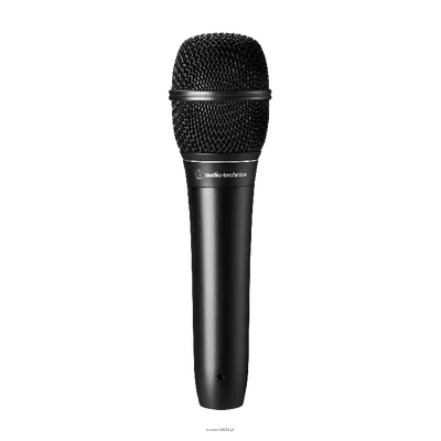 Audio-technical ATS99 - Hypercardioid Dynamic Microphone