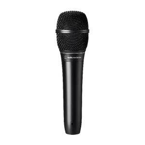 Audio-technical ATS99 - Hypercardioid Dynamic Microphone