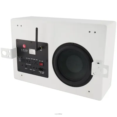 LOUD OF SWEDEN Subwoofer TW1  bezprzewodowy subwoofer z wbudowanym wzmacniaczem i odbiornikiem bezprzewodowym