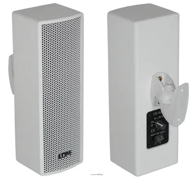 LDM CR-40T Kolumna instalacyjna naścienna 100V