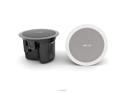 Bose FreeSpace FS2C Para