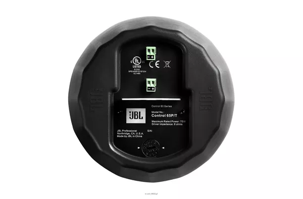 JBL Control 65P/T  Kompaktowy Pełnozakresowy Głośnik Wiszący - 3