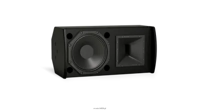 BOSE ArenaMatch AMU108-120