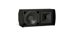 BOSE ArenaMatch AMU108-120