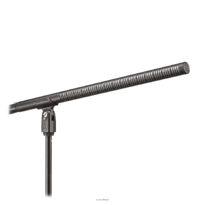Audio-technica BP4071 - Mikrofon liniowo-grandientowy